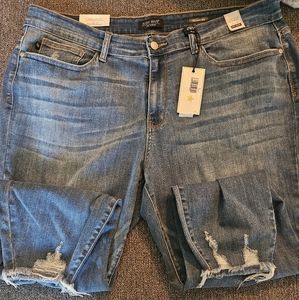 Judy Blue Plus Size Skinny Jeans